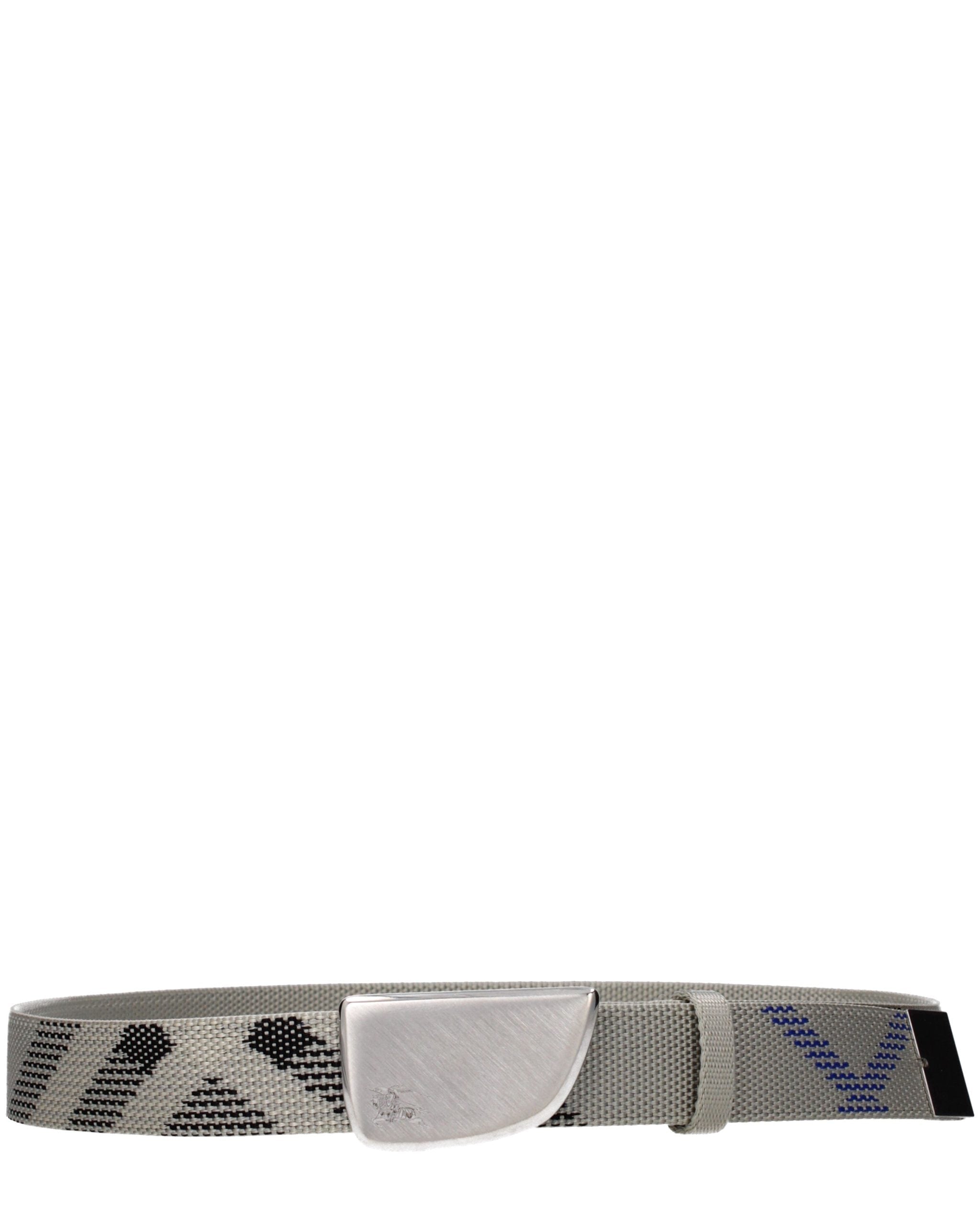 Beige Fabric Belt