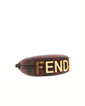 Fendi Fendigraphy Mini Bag